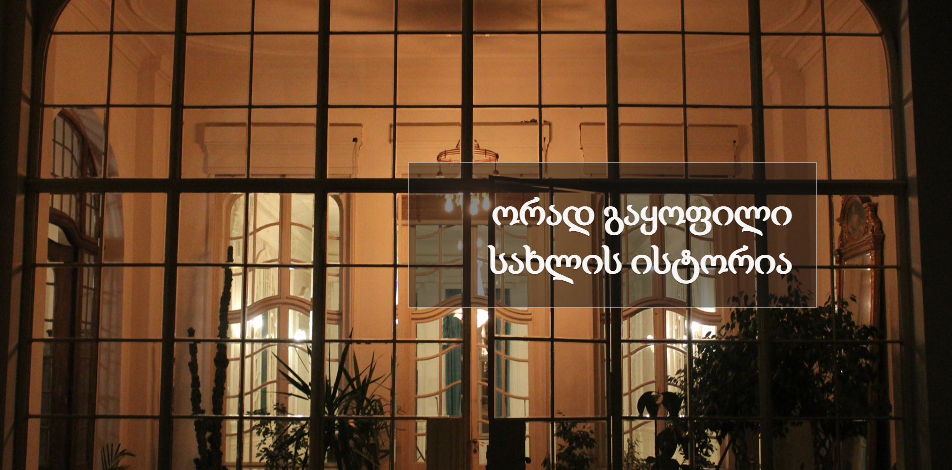 ავტორი: მე - III კურსის სტუდენტი - მარიამ ტყებუჩავა