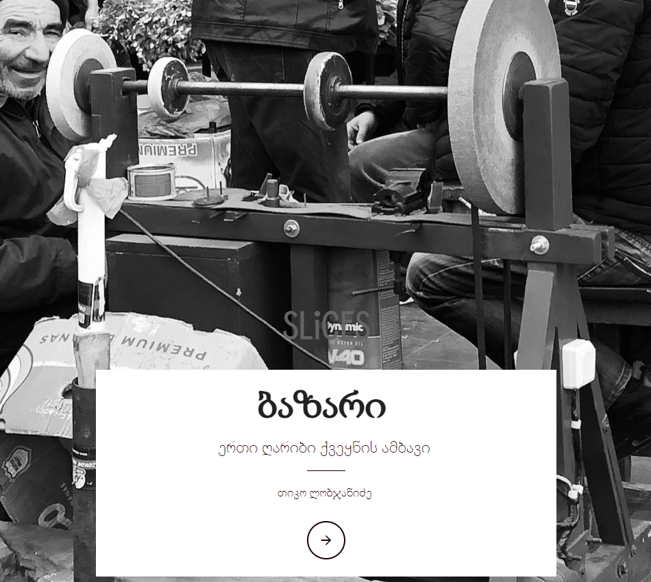 ავტორი: მე- IV  კურსის სტუდენტი თინათინ ლობჯანიძე