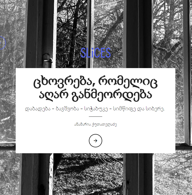 ავტორი: ანამარია ქუთათელაძე