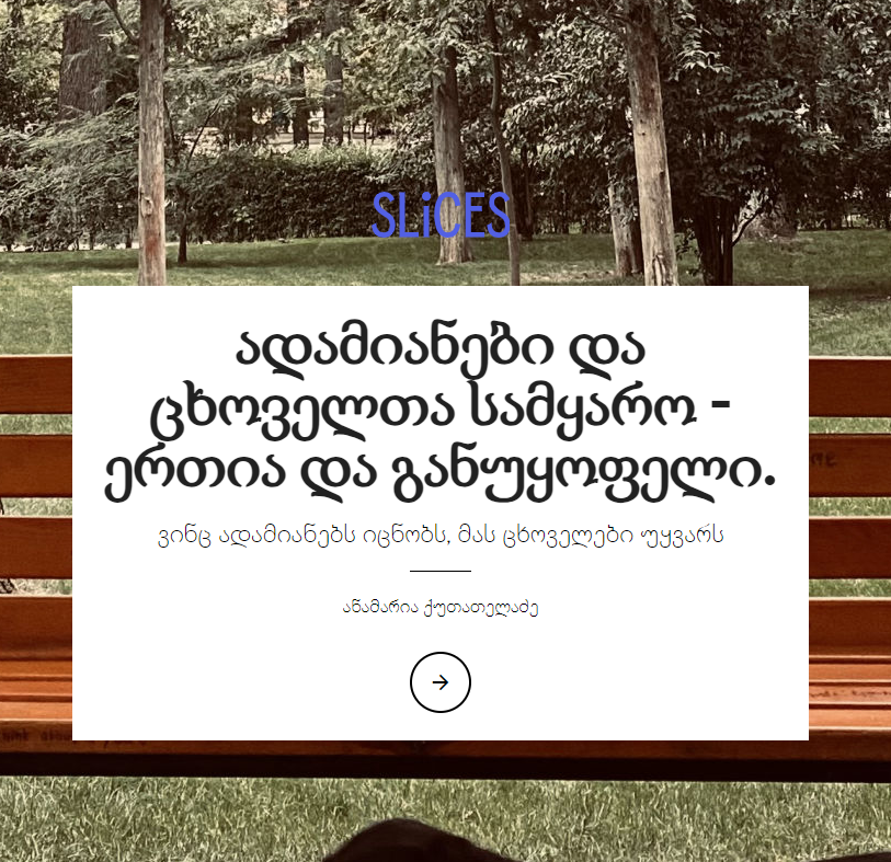 ავტორი: ანამარია ქუთათელაძე